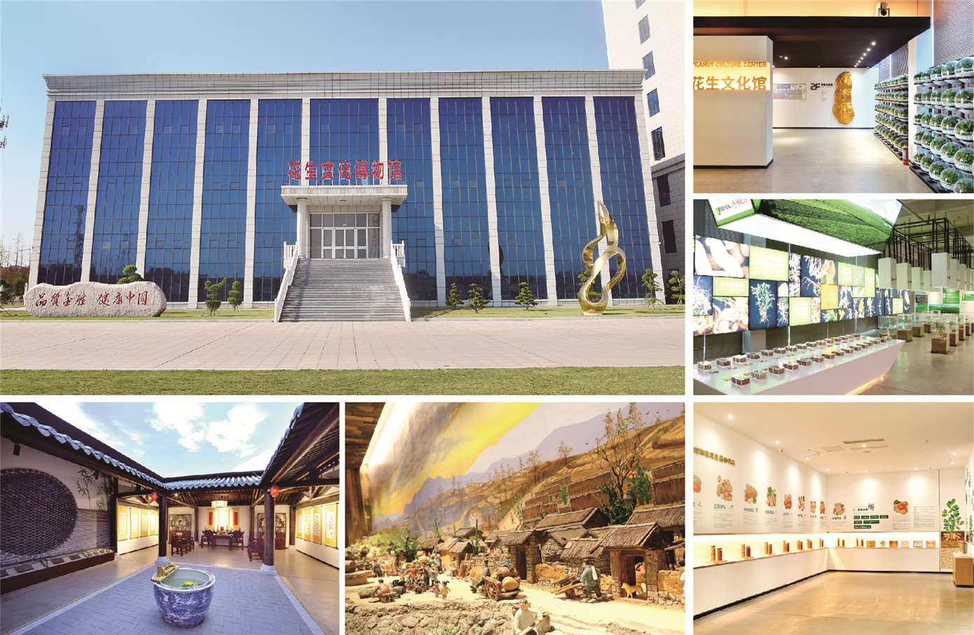 金胜文化旅游有限公司.jpg