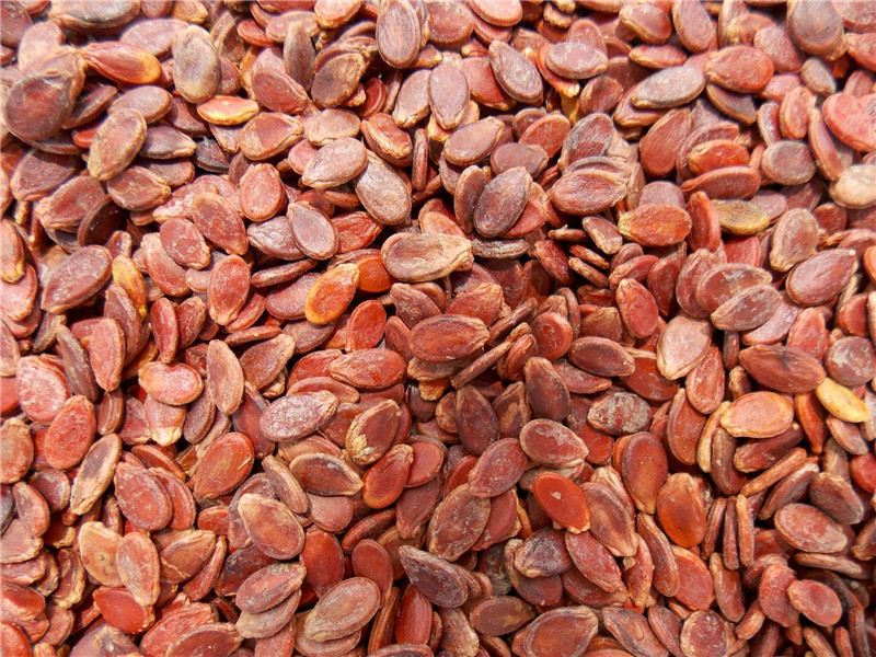 redwatermelon seeds